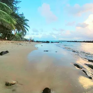family-home-beaches-playa-restaurants-san-juan-pr.sanjuanpuertorico-hotels.com/